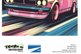 slow down-arrive safe
